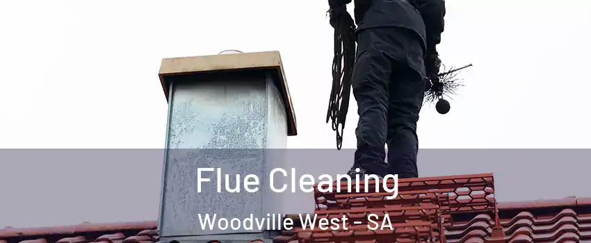 Flue Cleaning Woodville West - SA