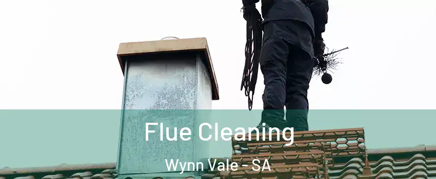 Flue Cleaning Wynn Vale - SA