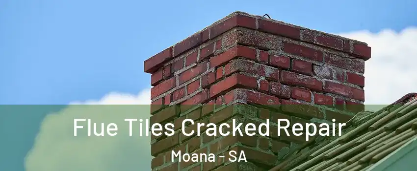 Flue Tiles Cracked Repair Moana - SA