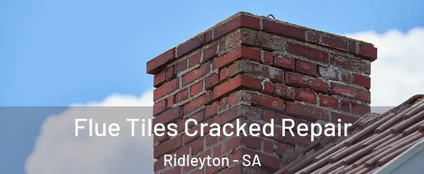 Flue Tiles Cracked Repair Ridleyton - SA
