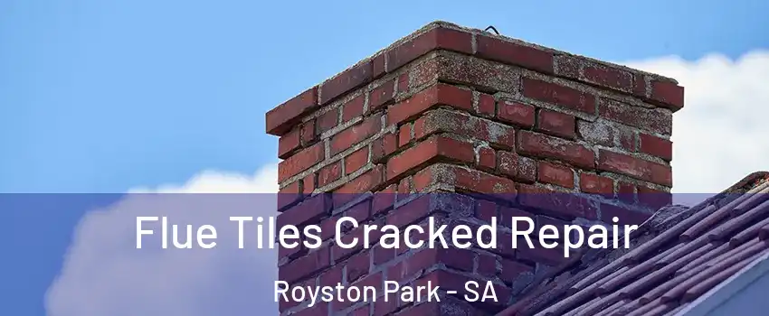 Flue Tiles Cracked Repair Royston Park - SA
