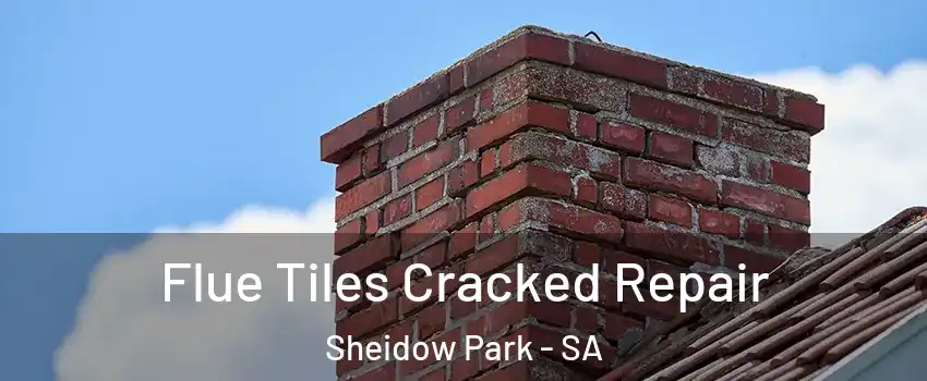 Flue Tiles Cracked Repair Sheidow Park - SA