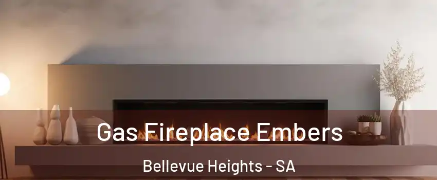  Gas Fireplace Embers Bellevue Heights - SA
