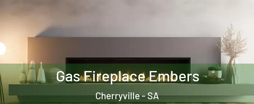  Gas Fireplace Embers Cherryville - SA