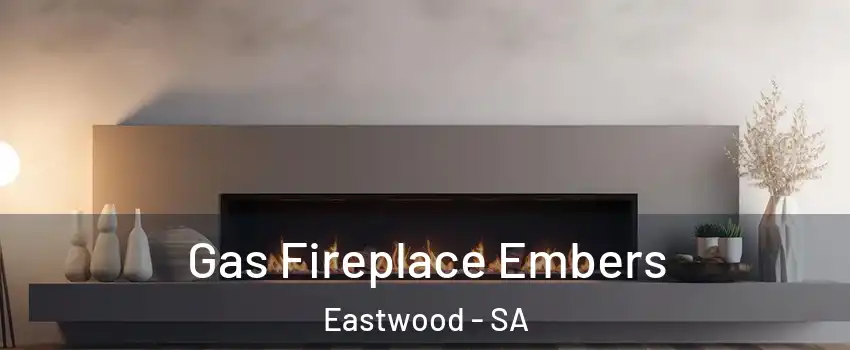 Gas Fireplace Embers Eastwood - SA