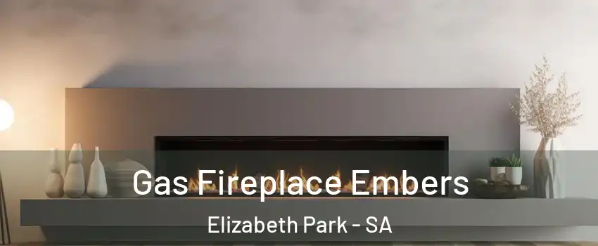  Gas Fireplace Embers Elizabeth Park - SA