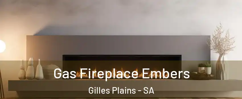 Gas Fireplace Embers Gilles Plains - SA