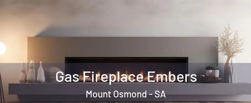 Gas Fireplace Embers Mount Osmond - SA
