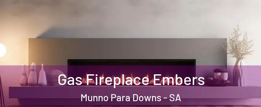 Gas Fireplace Embers Munno Para Downs - SA