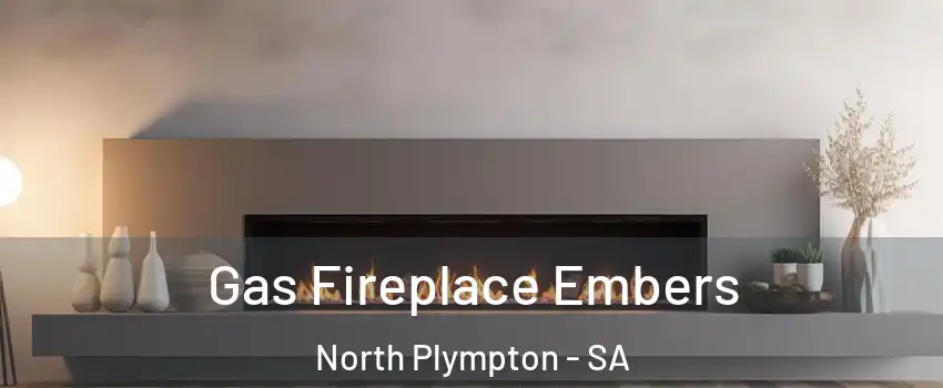 Gas Fireplace Embers North Plympton - SA