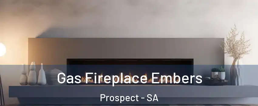 Gas Fireplace Embers Prospect - SA
