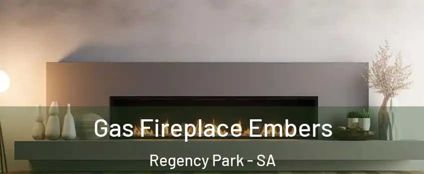 Gas Fireplace Embers Regency Park - SA