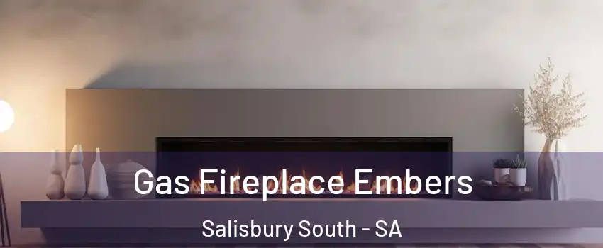 Gas Fireplace Embers Salisbury South - SA