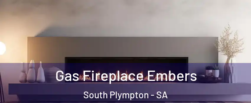 Gas Fireplace Embers South Plympton - SA