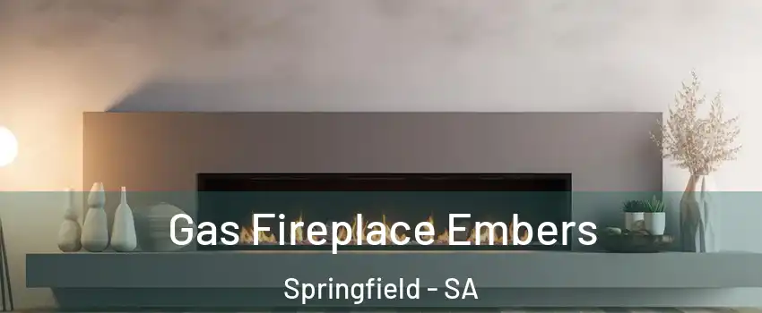 Gas Fireplace Embers Springfield - SA