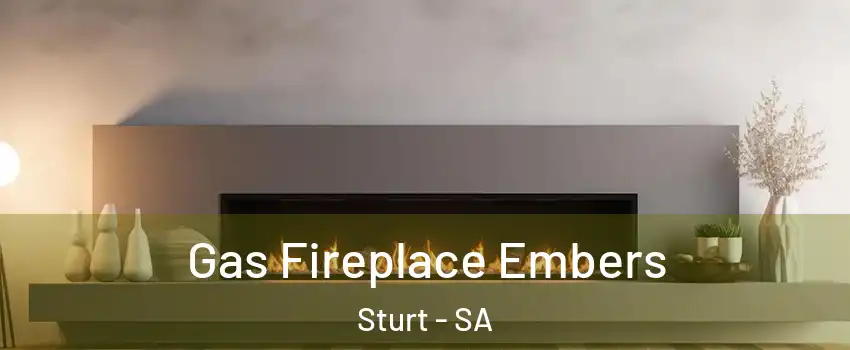 Gas Fireplace Embers Sturt - SA