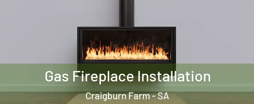  Gas Fireplace Installation Craigburn Farm - SA