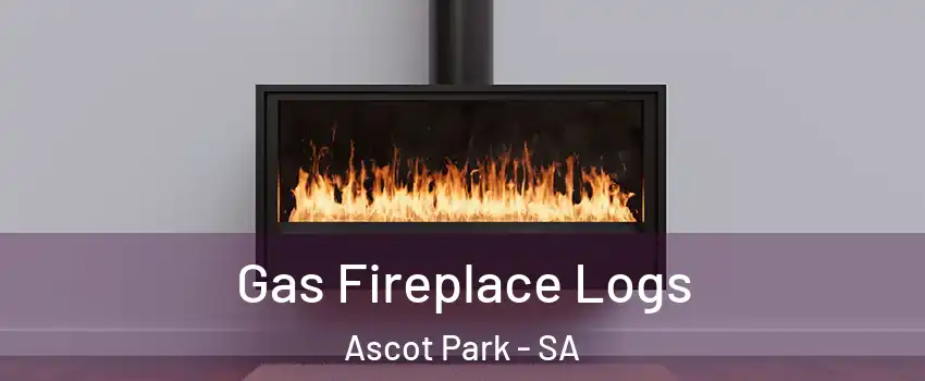  Gas Fireplace Logs Ascot Park - SA