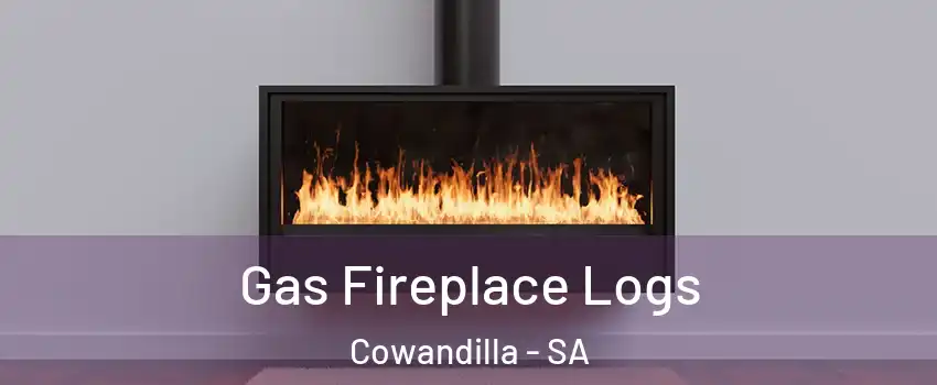 Gas Fireplace Logs Cowandilla - SA