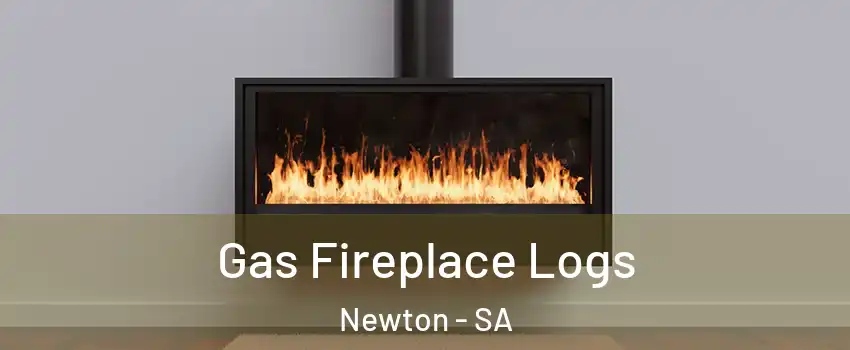 Gas Fireplace Logs Newton - SA