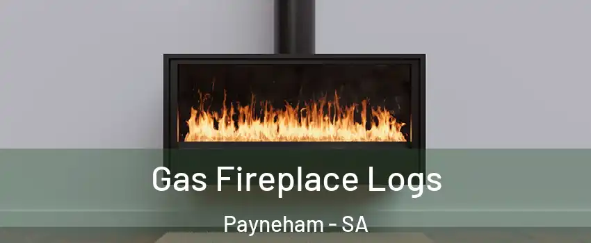 Gas Fireplace Logs Payneham - SA