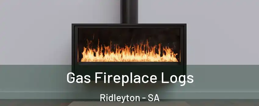 Gas Fireplace Logs Ridleyton - SA