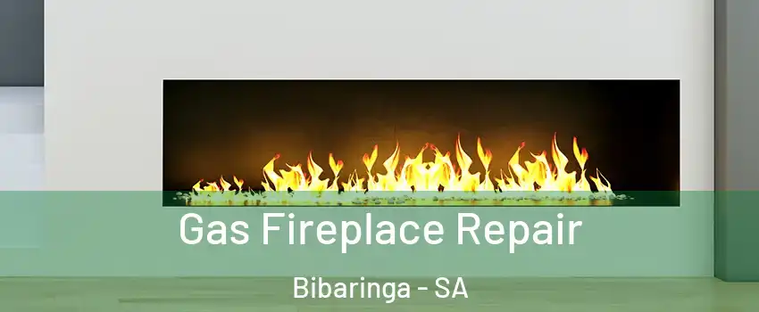  Gas Fireplace Repair Bibaringa - SA