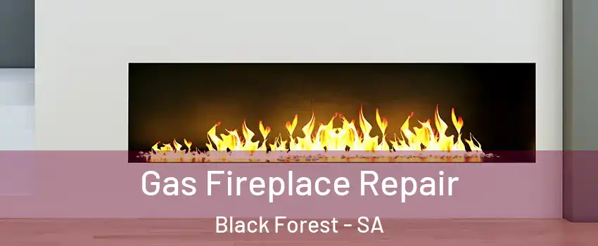 Gas Fireplace Repair Black Forest - SA