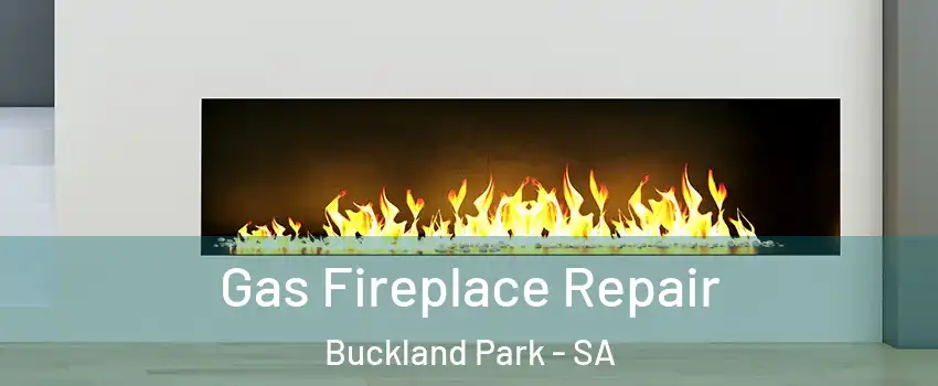 Gas Fireplace Repair Buckland Park - SA