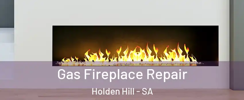 Gas Fireplace Repair Holden Hill - SA
