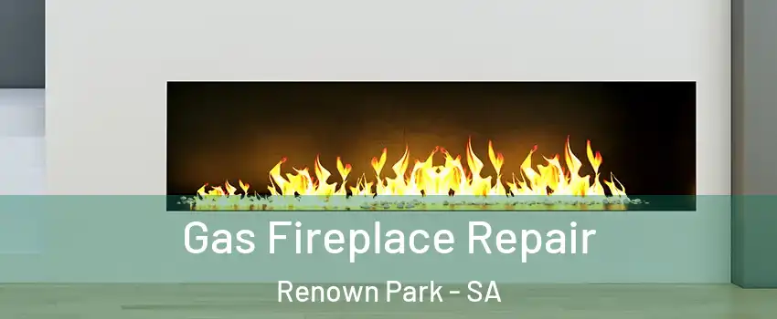Gas Fireplace Repair Renown Park - SA
