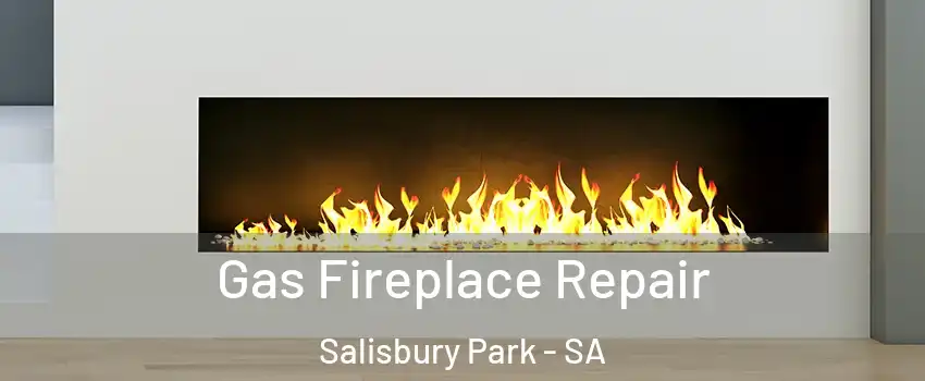 Gas Fireplace Repair Salisbury Park - SA