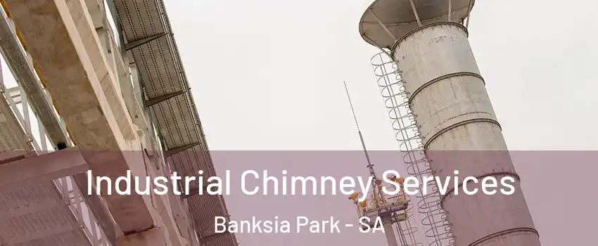  Industrial Chimney Services Banksia Park - SA