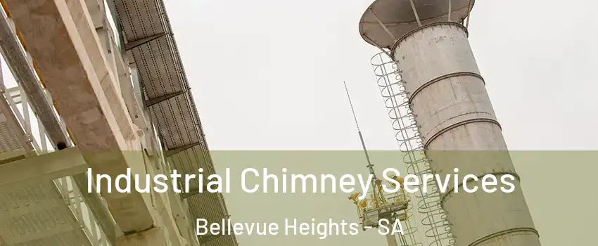 Industrial Chimney Services Bellevue Heights - SA