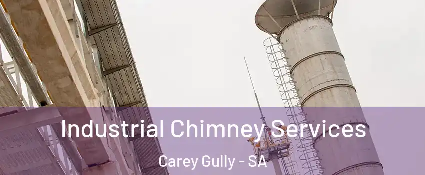 Industrial Chimney Services Carey Gully - SA