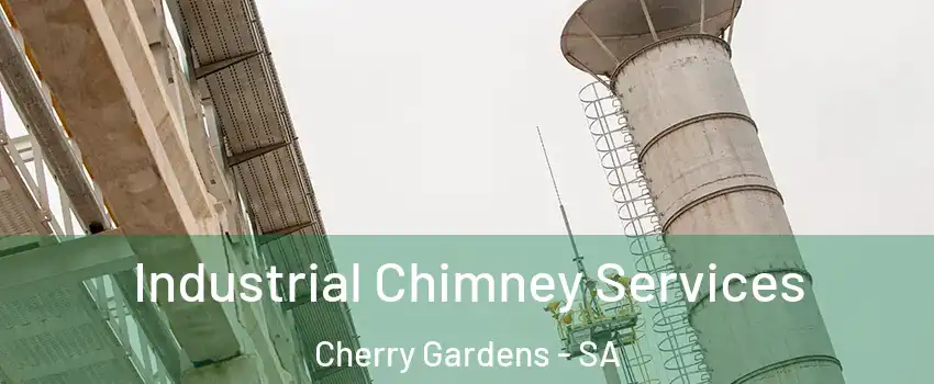  Industrial Chimney Services Cherry Gardens - SA