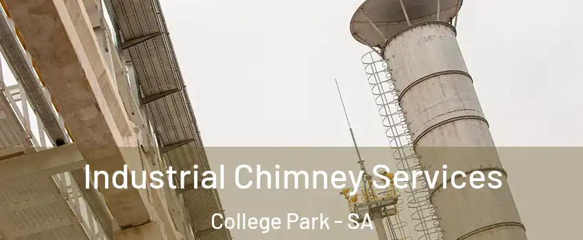 Industrial Chimney Services College Park - SA
