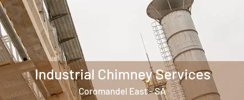 Industrial Chimney Services Coromandel East - SA
