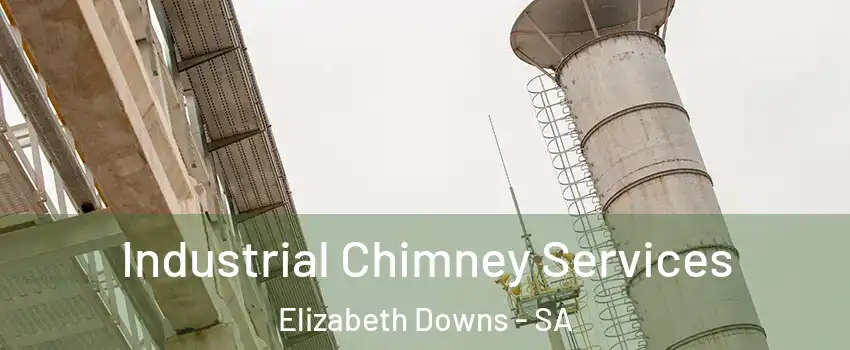 Industrial Chimney Services Elizabeth Downs - SA
