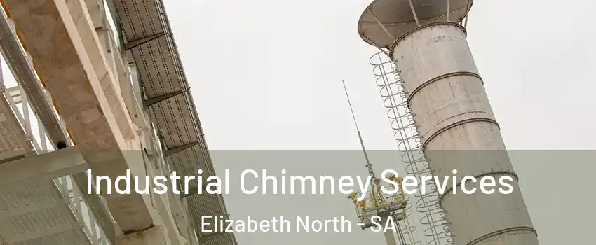  Industrial Chimney Services Elizabeth North - SA