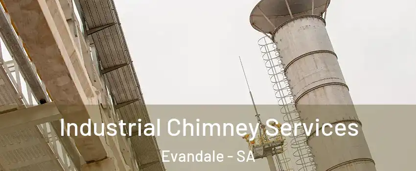  Industrial Chimney Services Evandale - SA