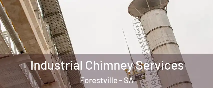 Industrial Chimney Services Forestville - SA