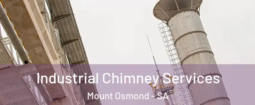 Industrial Chimney Services Mount Osmond - SA