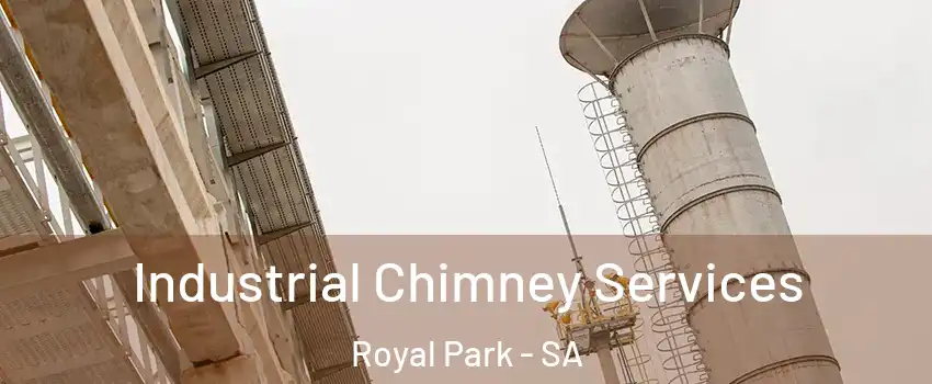 Industrial Chimney Services Royal Park - SA