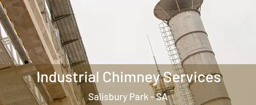 Industrial Chimney Services Salisbury Park - SA