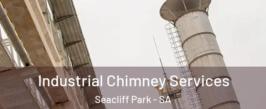Industrial Chimney Services Seacliff Park - SA