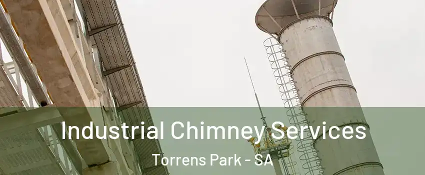 Industrial Chimney Services Torrens Park - SA