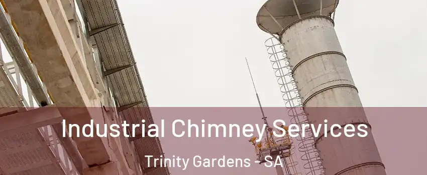 Industrial Chimney Services Trinity Gardens - SA