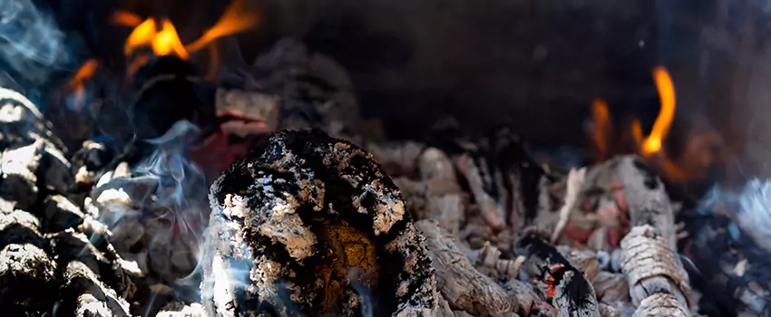 Creosote Removal Experts in Evandale, SA