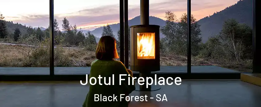  Jotul Fireplace Black Forest - SA